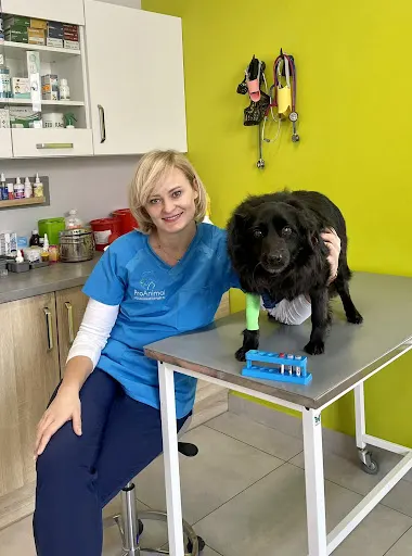 Przychodnia Weterynaryjna ProAnimal